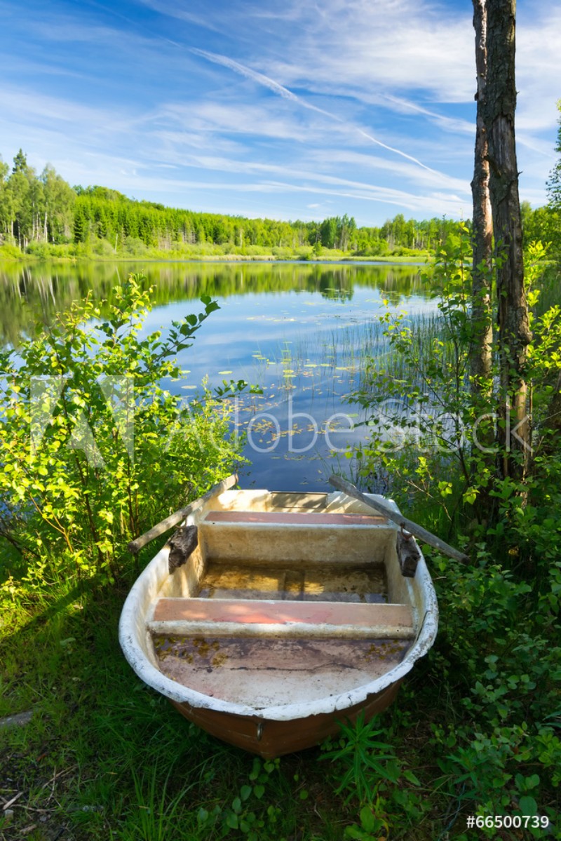 Bild på Summer morning on Swedish lake
